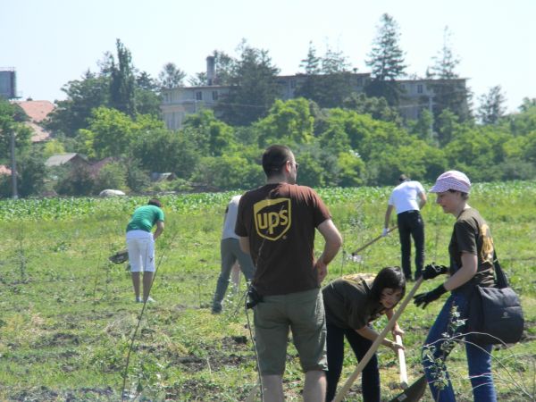 UPS a dat startul celei de-a zecea ediții a 