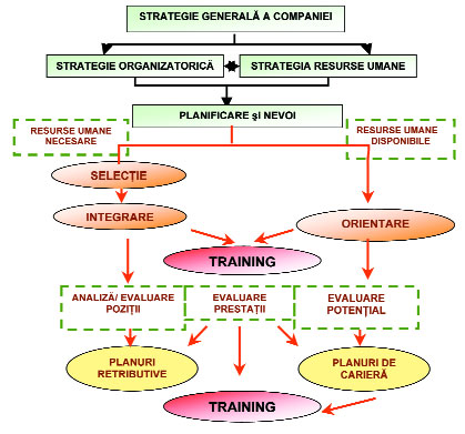 Functia strategica a formarii in companie