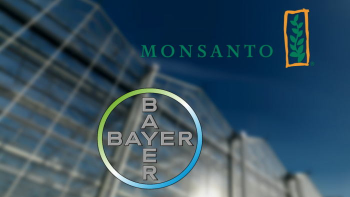 Bayer preia Monsanto, cea mai mare tranzacţie cash din istorie