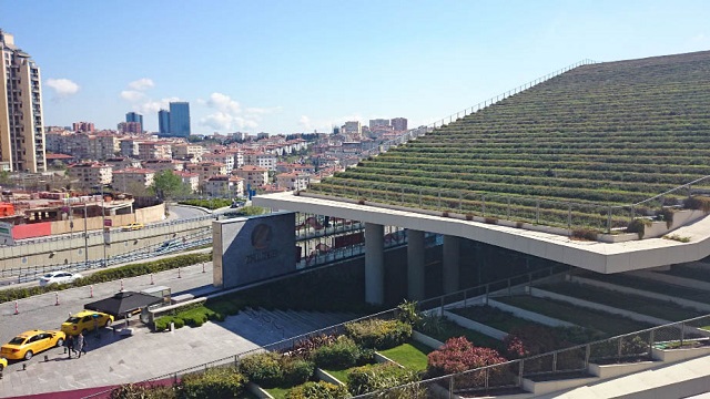 Idei de afaceri eco-friendly. Rolul creativității în economia verde