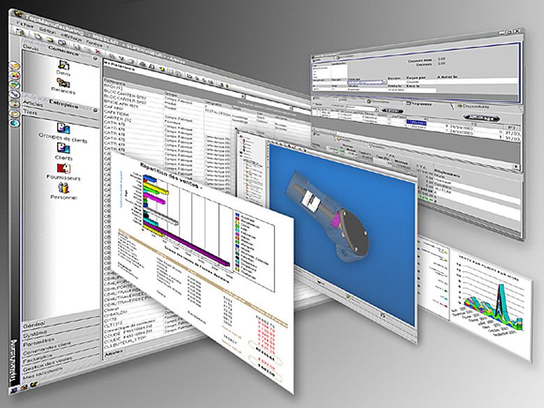 Afacerile BITSoftware au crescut cu 20%