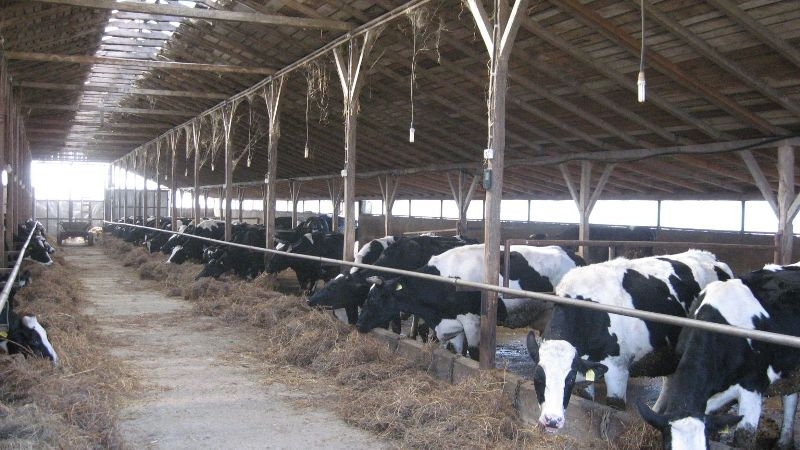 150 de manageri şi întreprinzători din agricultură, pregătiţi pentru managementul modern al fermelor