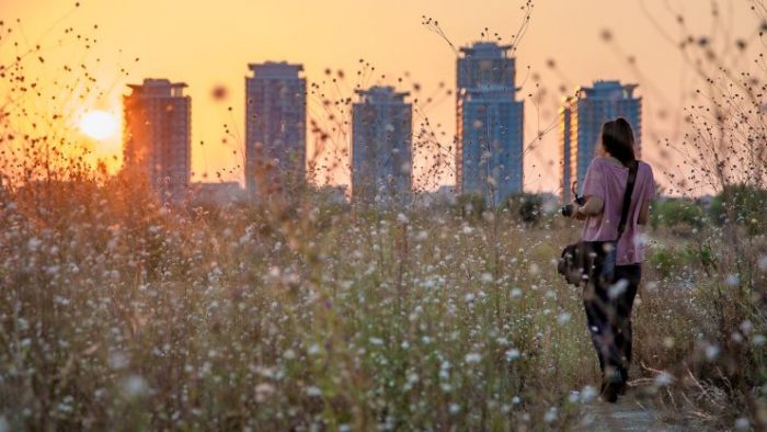 Școala de vară - Fotografie urbană pentru începatori