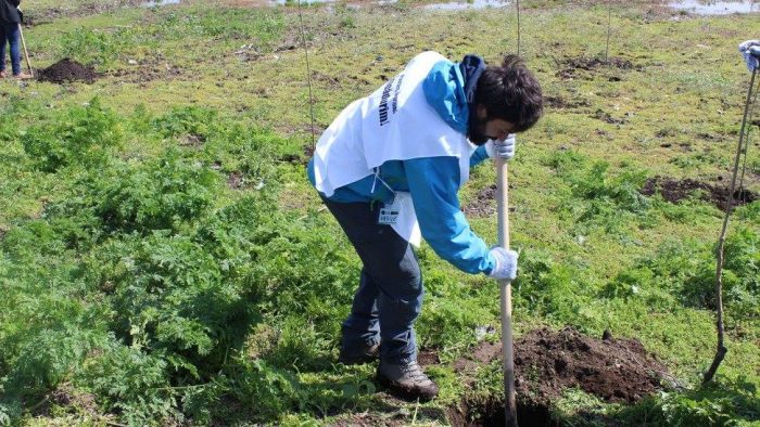 Voluntariatul schimbă comportamentul oamenilor şi al organizaţiei