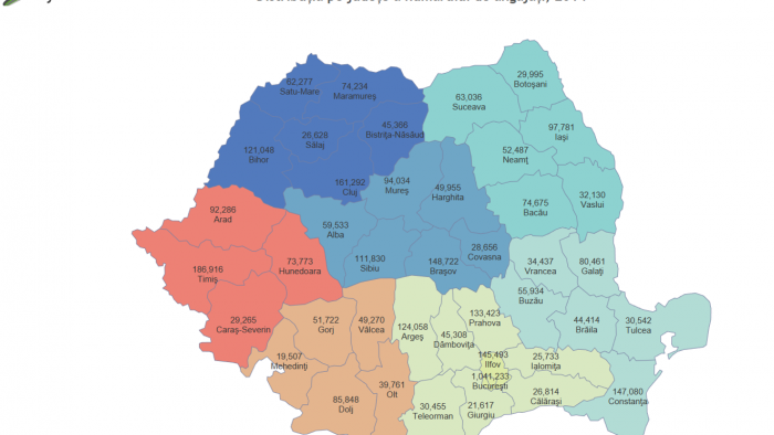 Cine mai muncește în România ? Care este pericolul către care ne îndreptăm?