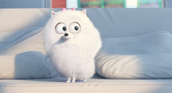 Câștigă o invitație dublă la filmul „The Secret Life of Pets”