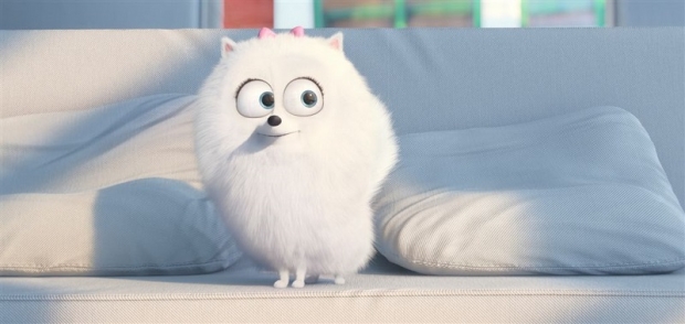 Câștigătorul invitației duble la filmul „The Secret Life of Pets”