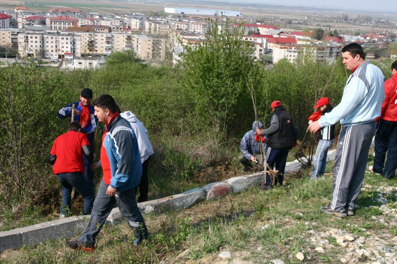 Orașul Topoloveni dă startul la ”Marea replantare”