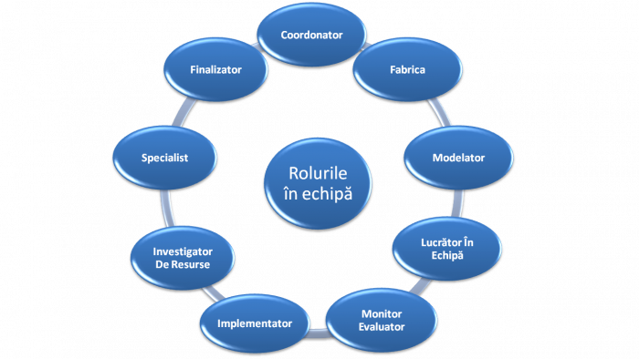 Rolurile din echipă şi cum este perceput liderul în cadrul ei