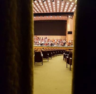 Royal Philarmonic Orchestra, la Sala Palatului, în cadrul Festivalului George Enescu: Despre libertate, liniște și carismă. Portrete artistice de invidiat