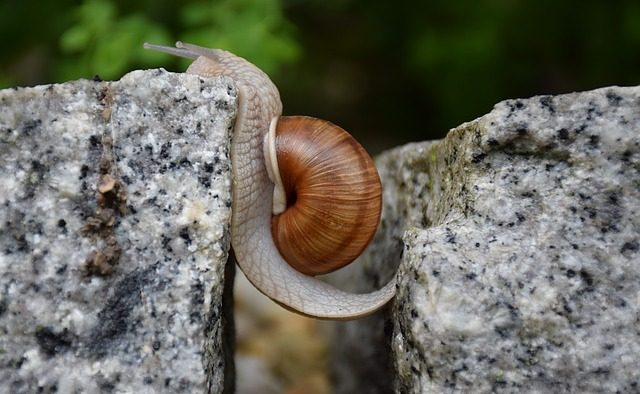 Inovăm sau nu inovăm? Asta-i întrebarea