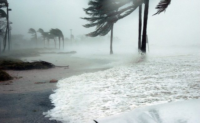 Cum influenţează fenomenele meteo extreme rata şomajului