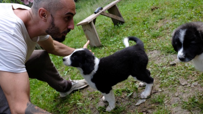 Marcel Limbășan și povestea lui cu multe stele din Munții Apuseni